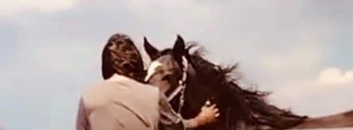 received_318590563292574