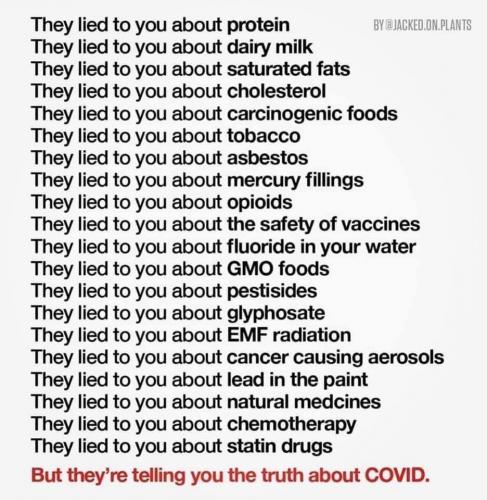 217417455_10159453014867710_5917990194145254985_n