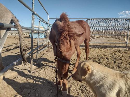 received_788257561883676