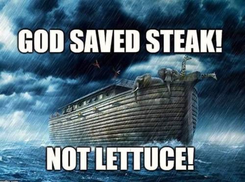 218360126_4082882165099058_3903748912931151735_n