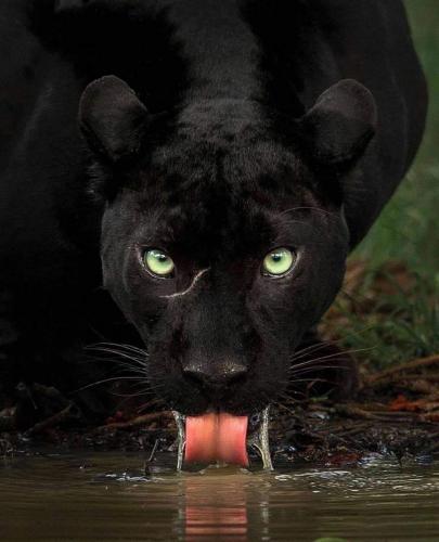 FB_IMG_1627240492215