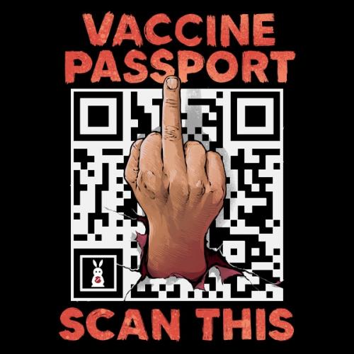 V-Passport