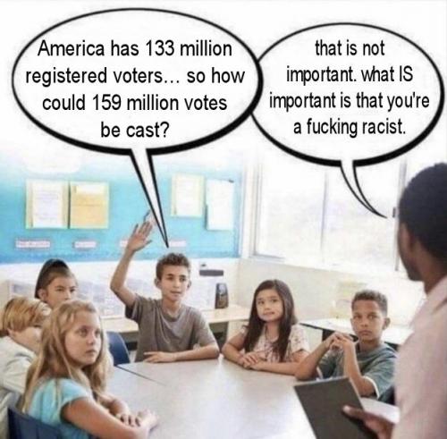 voterfraud208