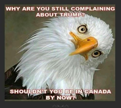 img_2021_04_20_11_27_38