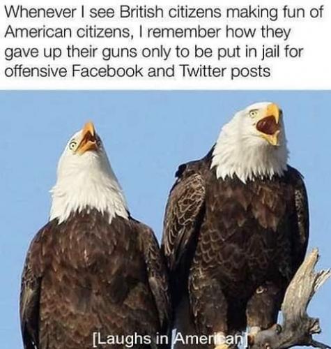 FB_IMG_1626401363908