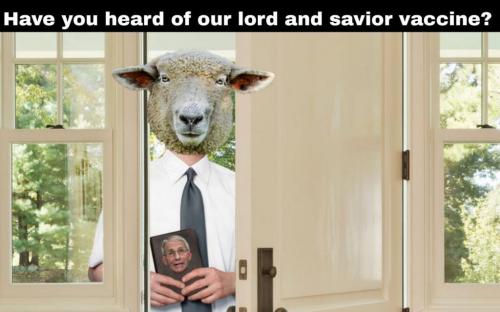 IMG_20210714_143941_884