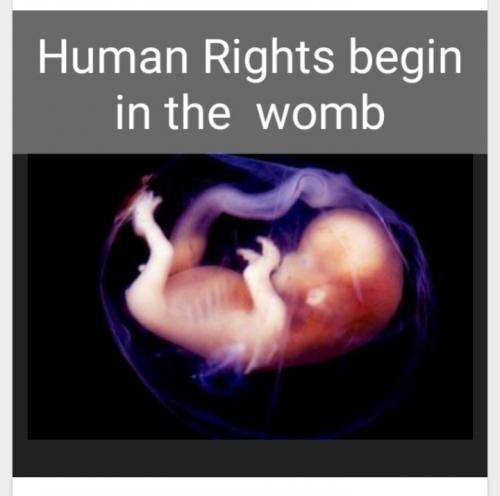 Screenshot_20210714-144411_MeWe