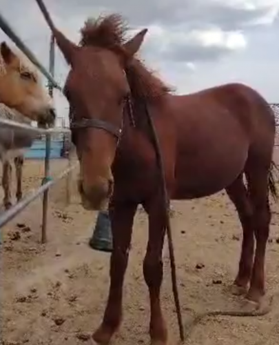 Screenshot_20210630-192621-356