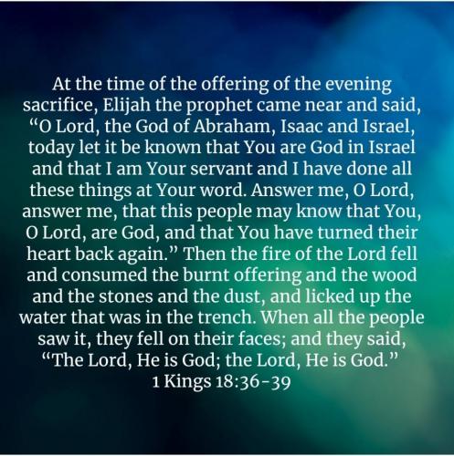 Screenshot_20210722-064444_Bible