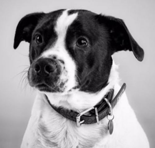 20:19:11 GMT+0100 (WAT).png