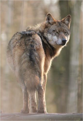 20:55:24 GMT-0500 (CDT)