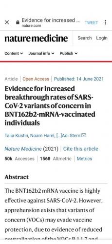 11:17:38 GMT-0500 (CDT).image