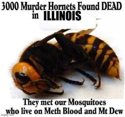 FB_IMG_1626235343177