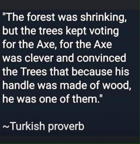 106507881_10213652721712515_5301740474962447255_n