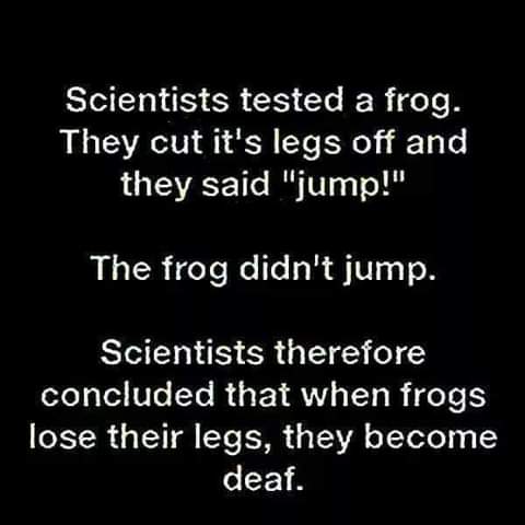 FB_IMG_1626972828481