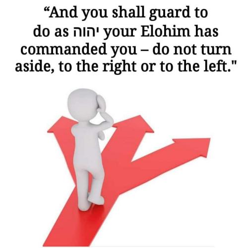 FB_IMG_1626148764227