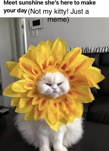 13:51:39 GMT-0400 (EDT).image