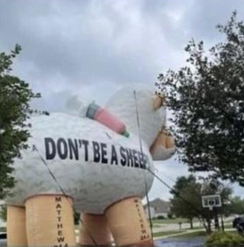 14:29:34 GMT-0500 (CDT)