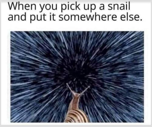 FB_IMG_1627187813385