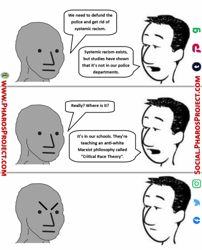 NPC Wojak - Systemic Racism and Critical Race Theory - 2021 - Web-Social