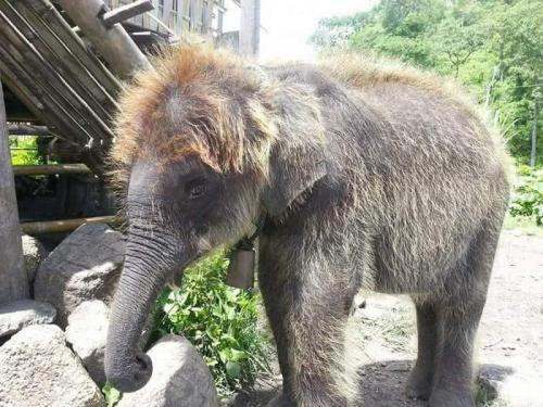 FB_IMG_1626034804323