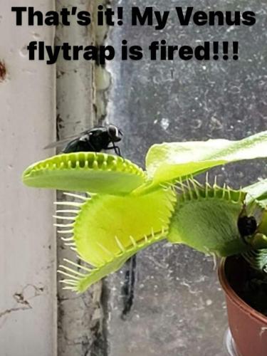 20:09:41 GMT-0500 (CDT)