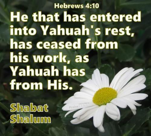 received_358770178462519