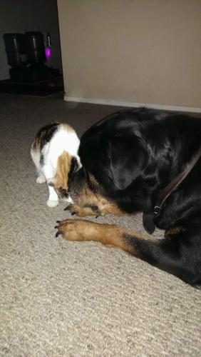 10:24:25 GMT-0700 (PDT)