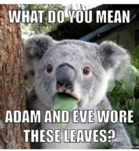 14:14:15 GMT-0400 (EDT)