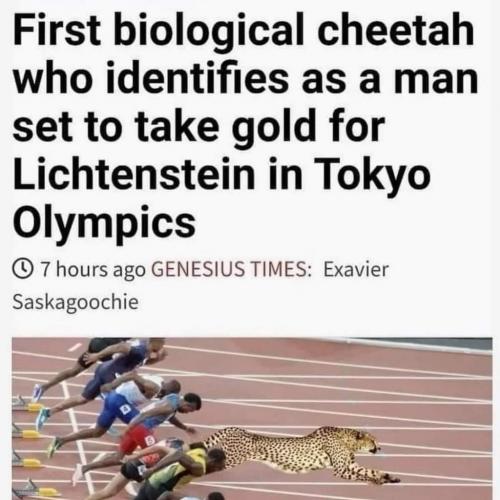 FB_IMG_1627031761169