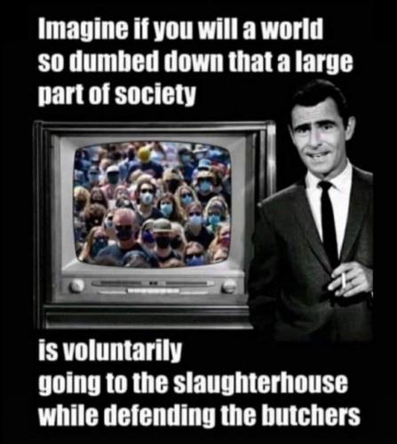 received_342906130661182