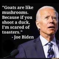 FB_IMG_1618668780298