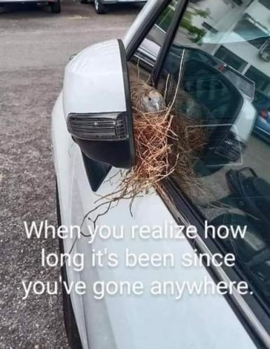 FB_IMG_1626405066186