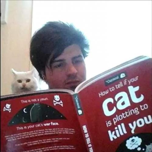 FB_IMG_1626282652760