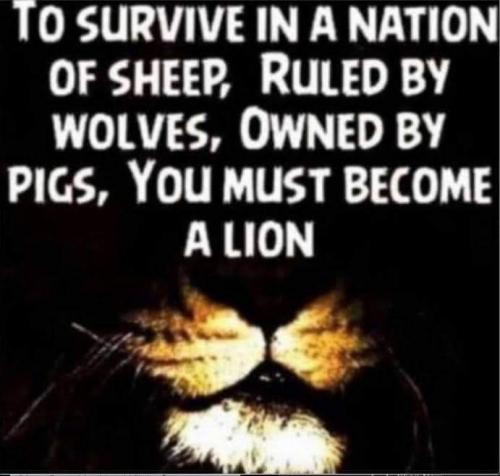 07:22:04 GMT-0600 (MDT)