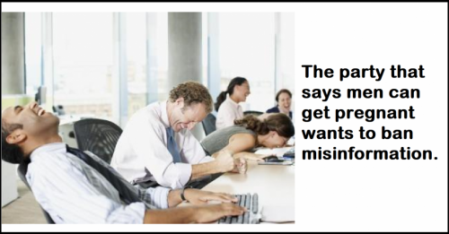 misinformation_experts