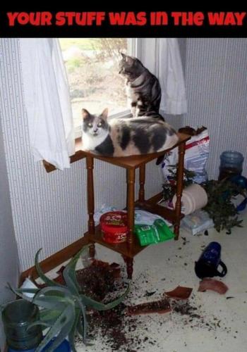 10:52:48 GMT-0500 (CDT)