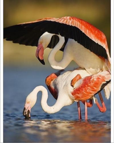 tumblr_e6a2dd17f83ad913c544bd4b21c5c217_0b231b53_1280