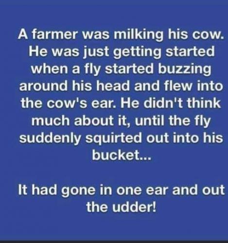 FB_IMG_1626962715226