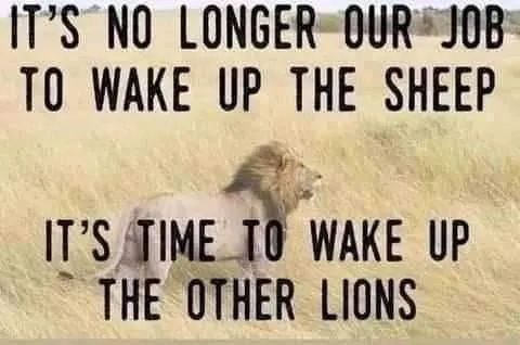 FB_IMG_1626344135800