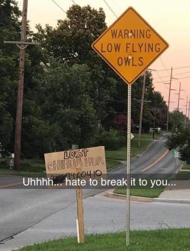 _()_01