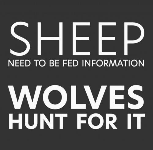 IMG_20210726_055402_032