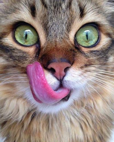 FB_IMG_1625928156673