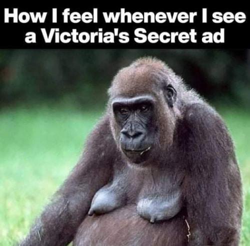 FB_IMG_1627453085752