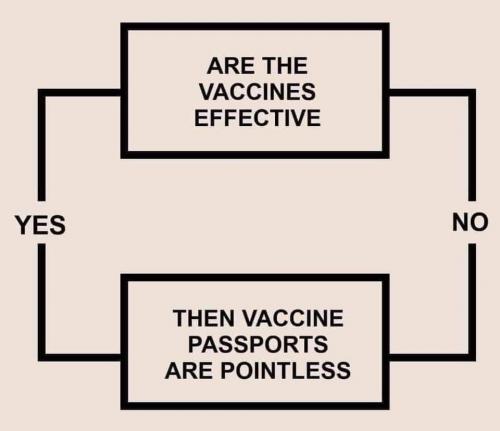 FB_IMG_1627637198746