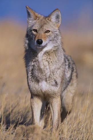 10:39:03 GMT-0500 (CDT)