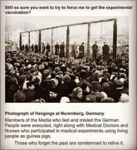 vaccine282