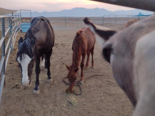 IMG_20210707_200300483