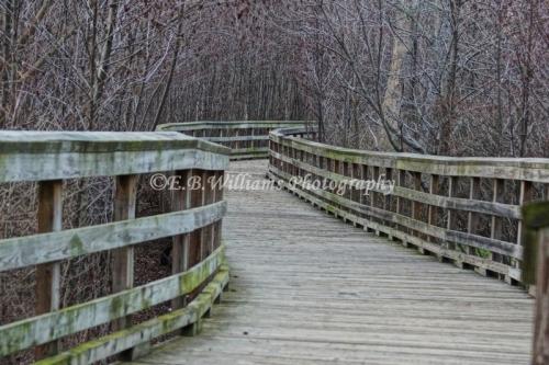 79183778_1828277890649103_6430127956978302976_n_1828277883982437