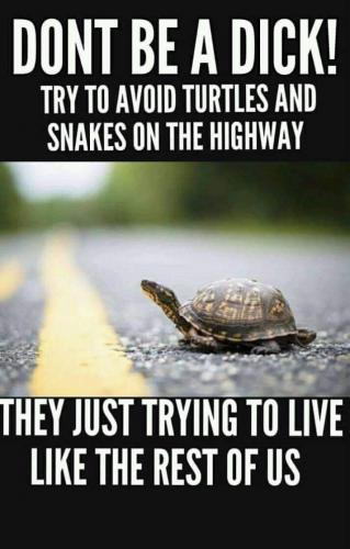 FB_IMG_1626114610825